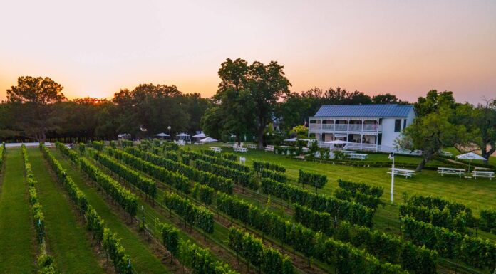 Five Must-Visit Texan Hotspots Right Now and Where to Stay in Them Texan Hotspots