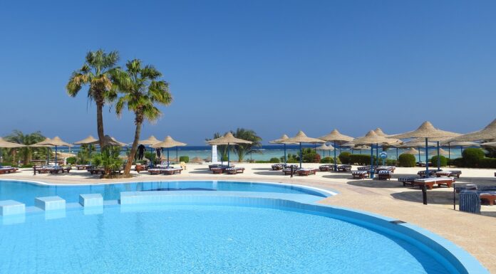 Travel Tips: How To Choose The Right Hotel Palm Tree Hotel