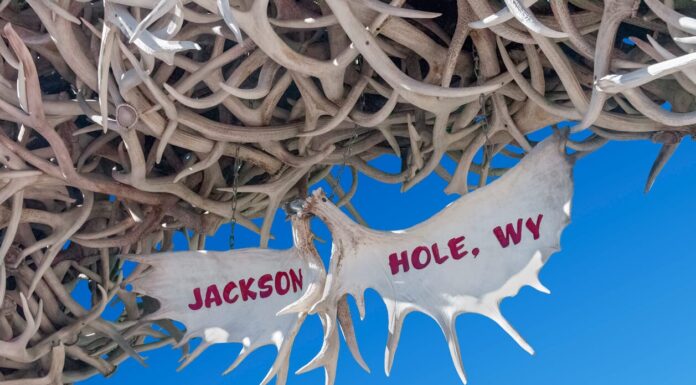 How to Move to Jackson Hole, Wyoming in Style Jackson Hole, Wyoming