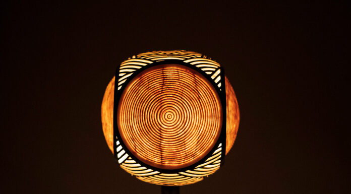 Erleuchten Lamps, Lighting Grown from The Earth Erleuchten Lamps