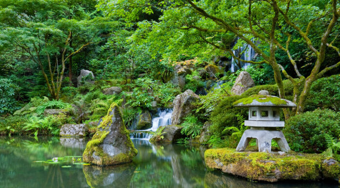 Botanical Gardens Every Passionate Gardener Should Visit Portland Oregon Japanese Botanical Garden