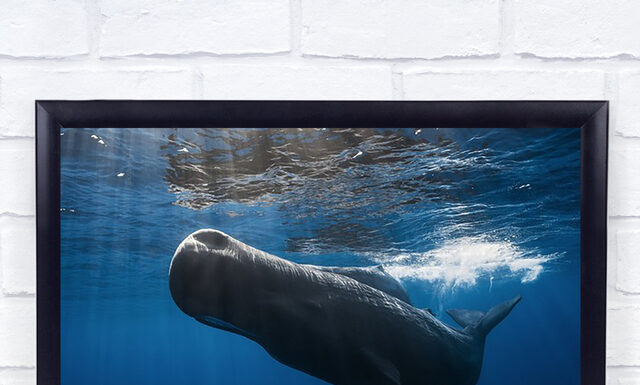 Whale Decor: Original and Symbolic Idea for Your Home Red Heart Whale wall art