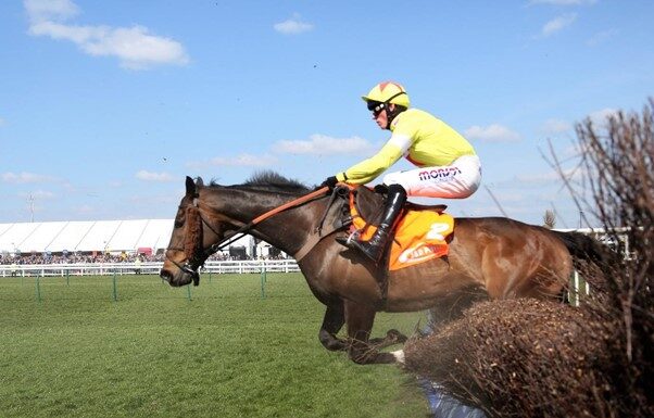 Who will be the Standout Horses at the 2022 Cheltenham Festival? Cheltenham Festival
