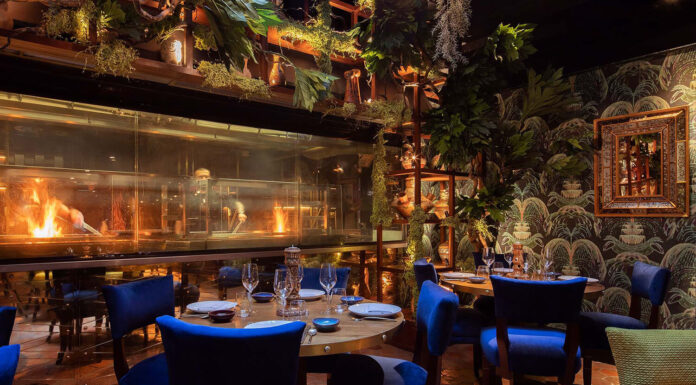 London’s Best Latin American Restaurants Coya Mayfair Restaurant