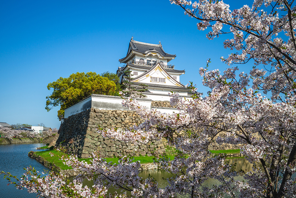 Kishiwada Castle, a Japanese castle located in Kishiwada city, Osaka, Japan.