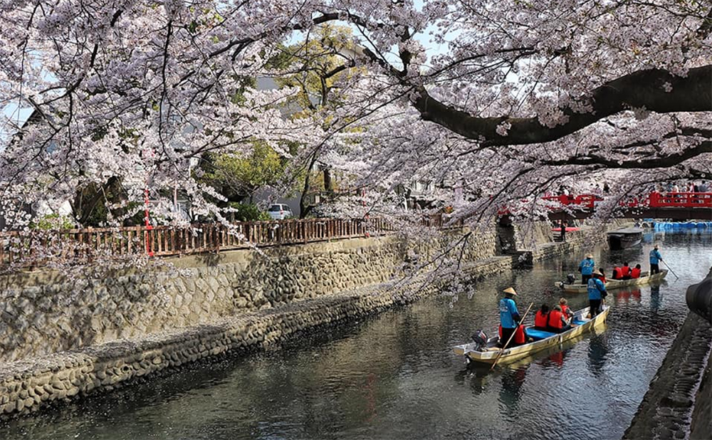 Cruises along Suimon River, Visit Japan in the Spring Leisurely float down the Suimon River in a hired boat. Photo source visit Gifu