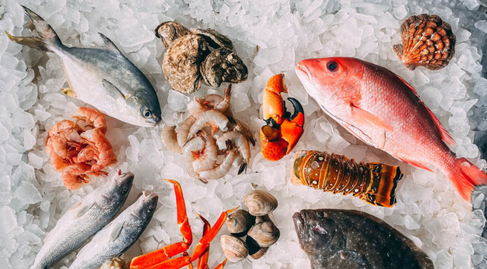 Simple Seafood Recipes That You Should Try Seafood recipes