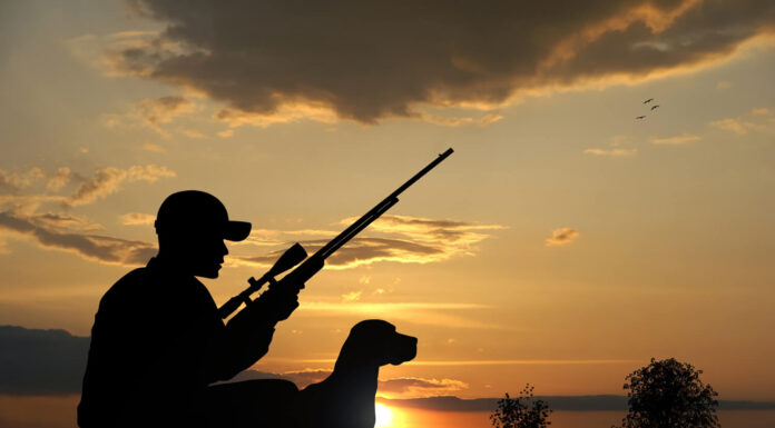 Mil vs. MOA: Which is Best for Hunting, Beginners & Shooting? hunting