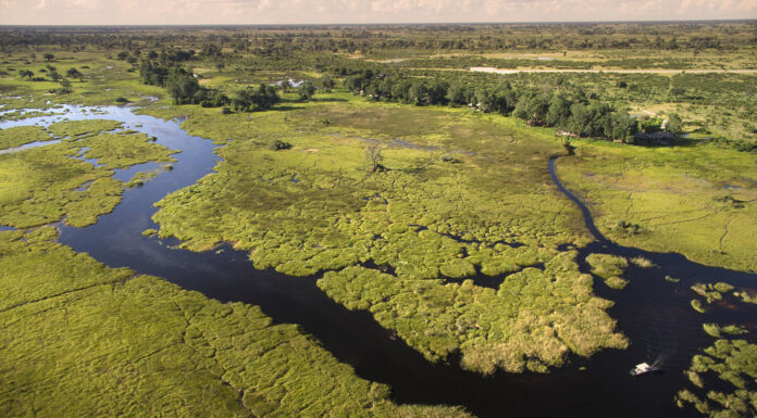 The Ultimate Botswana Safari Duba Concession, Botswana Safari