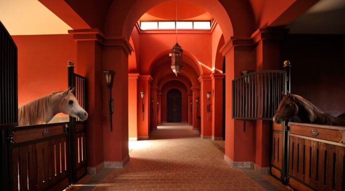 5 of the Most Luxurious Horse Stables from Across the Globe The Selman Hotel and Stables in Marrakech