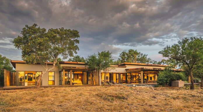 From Kruger’s Gentle Giants to the Pinnacle of Jo’burg’s Skyline Mpumalanga South Africa