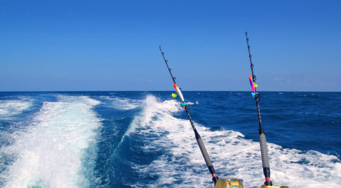 How to get the most out of your Fishing Trips on a fishing trip vacation