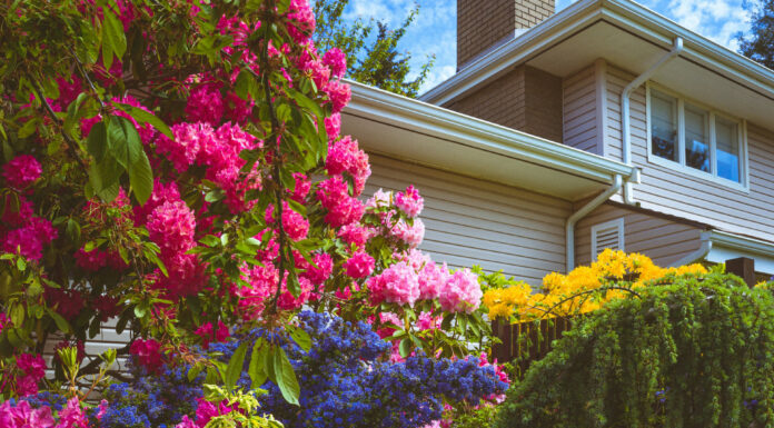 All You Need to Know Before Beginning Landscaping All you need to know before beginning Landscaping. Photo by Kier in Sight Archives via unsplash