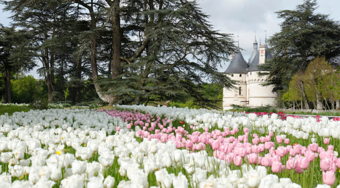 The Lure of the Loire Valley Chaumont 2016, Loire Valley