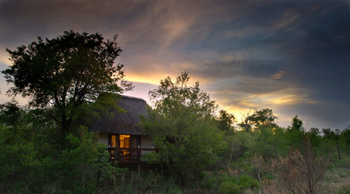 Seclusion and Effortless Chic at Sabi Sabi Little Bush Camp Little Bush Camp Exterior. Photo courtesy of Sabi Sabi