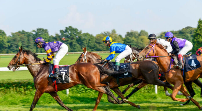 Why do Rich People Enjoy Horse Race Betting? Horse Race Betting