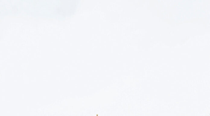 Easy Steps to Buying a Home in New York EASY STEPS TO BUYING A HOME IN NEW YORK