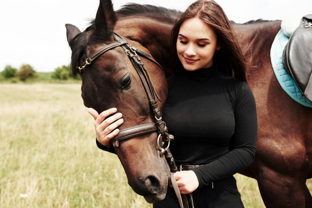 Horse care guide
