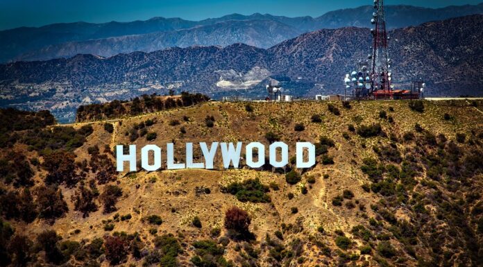 Molly Bloom: From Bartender to Entrepreneur Via Hollywood Molly Bloom from bartender to entrepreneur