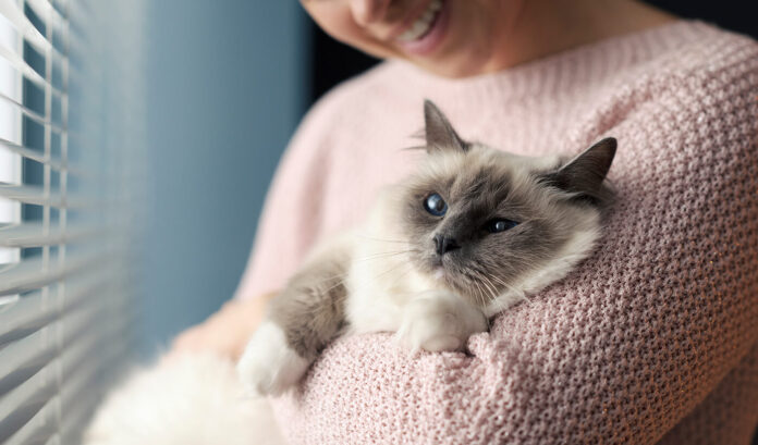 Cat Food for a picky eater