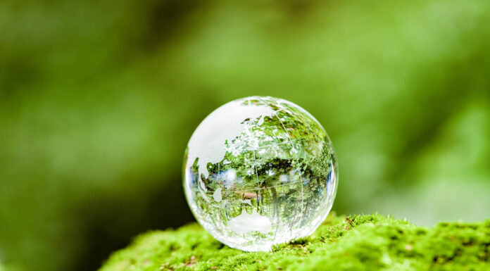 The Eco Guide: 6 Ways To Introduce Sustainability Into Your Life Eco-Friendly Lifestyle