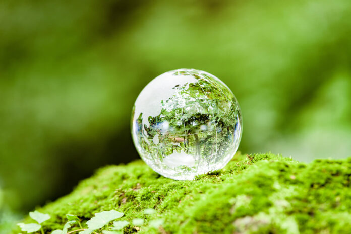 Eco-Friendly Lifestyle