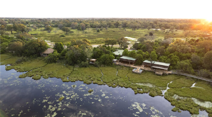 The Very Best of Botswana Vumbura Plains Botswana