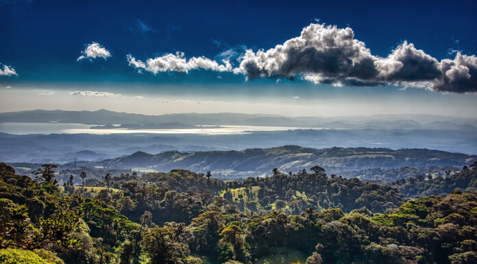 Exploring The Monteverde Cloud Forest In Costa Rica Monteverde Costa Rica