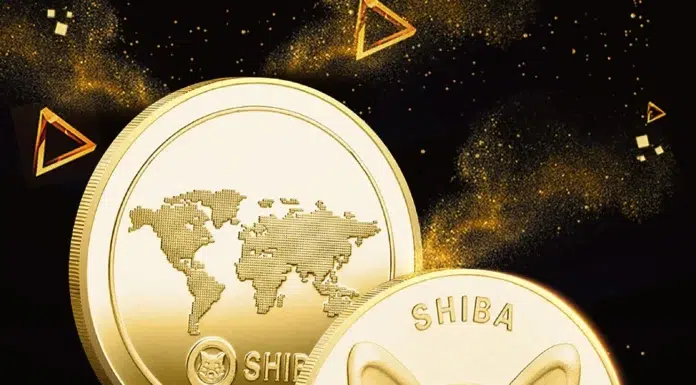 The Future of Shiba Inu Coin Shiba Inu Coin
