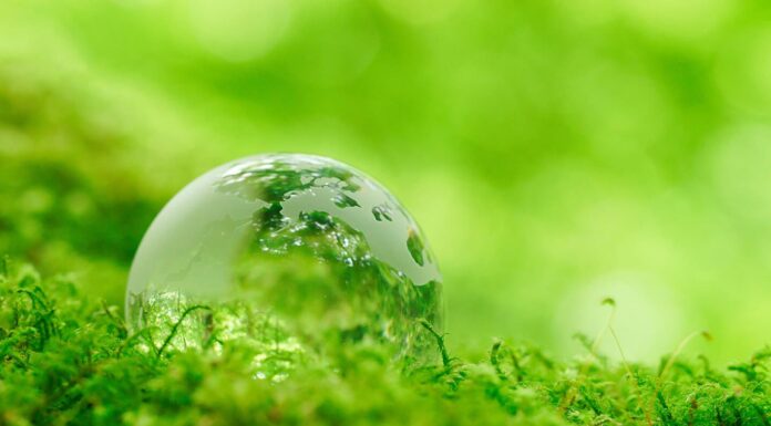 Planning To Be More Eco-friendly This New Year. Here Are A Few Tips For You! Eco-friendly