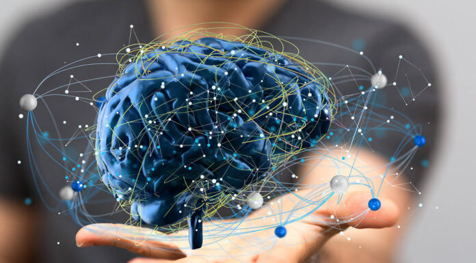 9 Activities to Keep your Brain Busy brain activity