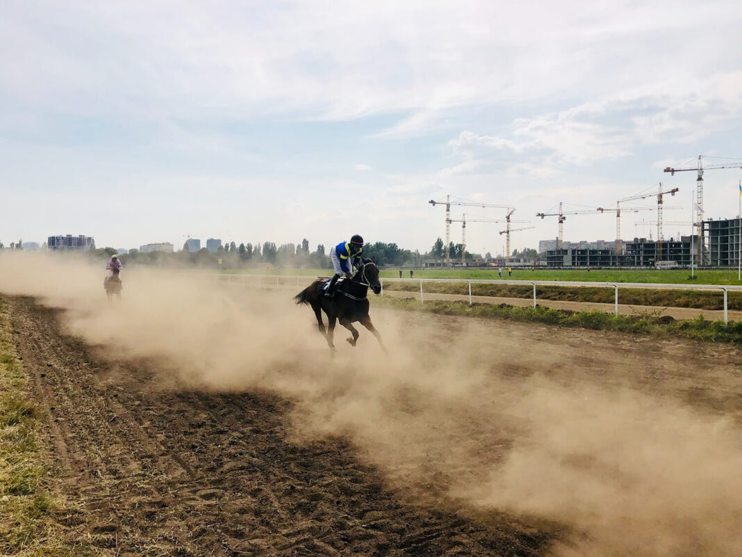 unique betting experiences