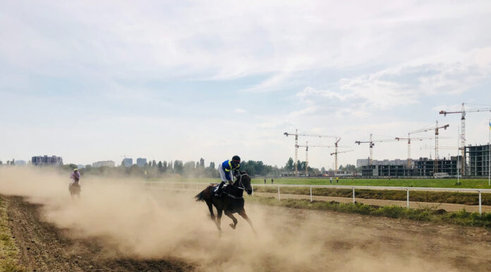 Three Unique Betting Experiences unique betting experiences