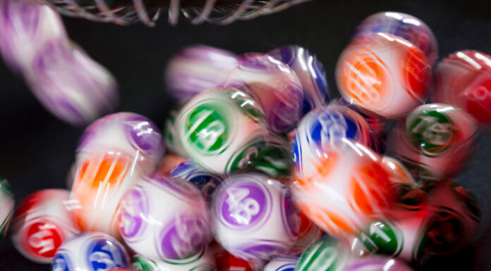 The Different Variations of Online Bingo Bingo game