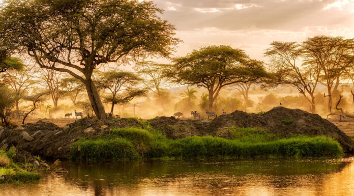 The Best Destinations for Luxury Safari Travel Serengeti Tanzania for Luxury Safari Travel (1)