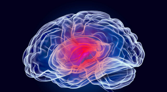 How to Get Justice After a Brain Stem Injury in Chicago Brain Stem