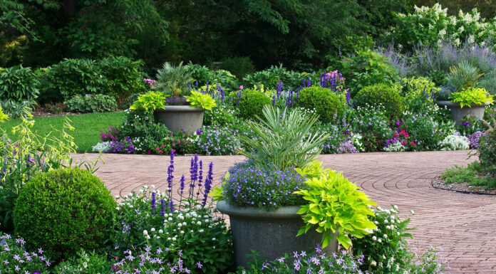 How to Make Your Garden Look Lush and Expensive lush garden