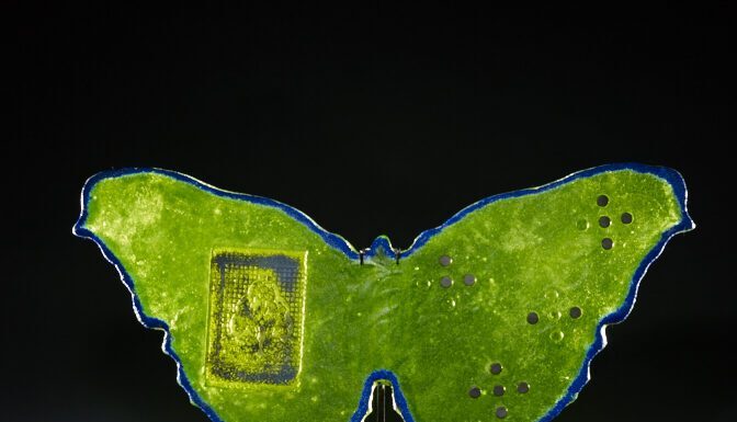 Marlene Rose Art Gallery – A Haven for Art Lovers Moraccan Butterfly - Marlene Rose Gallery