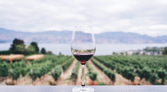 The Ultimate Wine and Vape Pairing Guide Riesling Wine