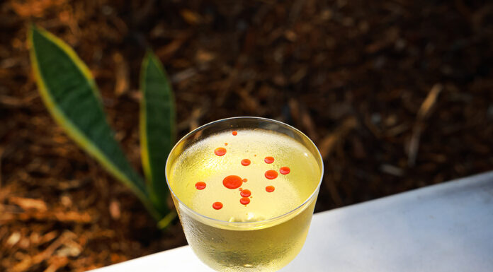 Spice Up Any Occasion with a Delicious Código 1530 Martini Spicy Martini cocktail recipe using Codigo 1530 Artesanal Mezcal