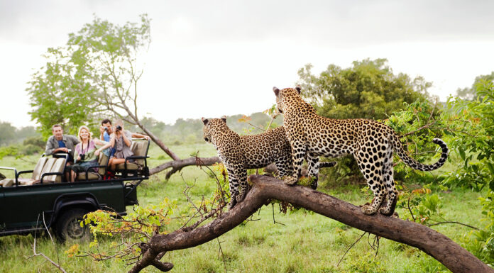 Ker & Downey® Africa Receives Prestigious Award for Safari Mastery At Ker & Downey® Africa