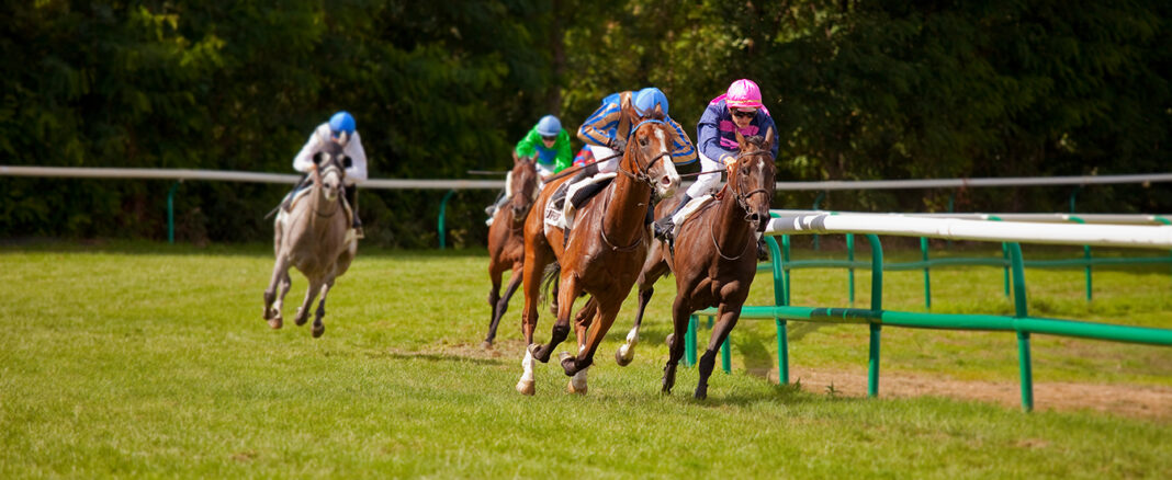 Best Horse Races