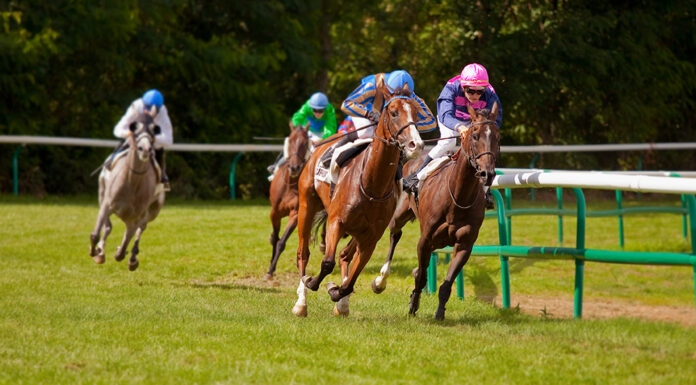 The Best Horse Races to Experience Live Best Horse Races