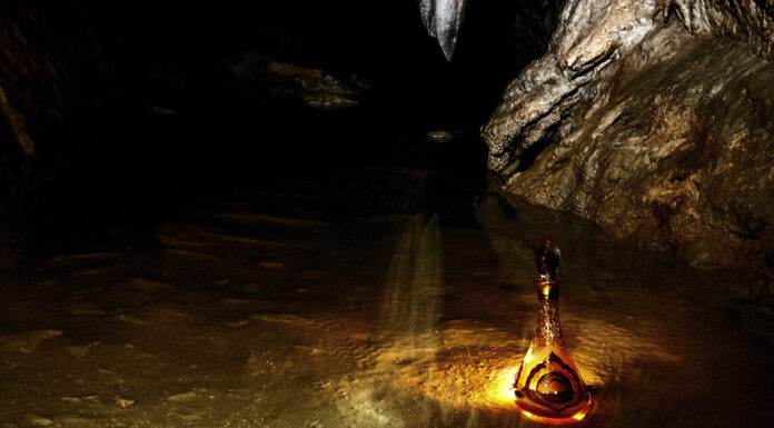 Centauri Honey, The Best Quality and Most Expensive Honey Offers Health Benefits Centauri Honey