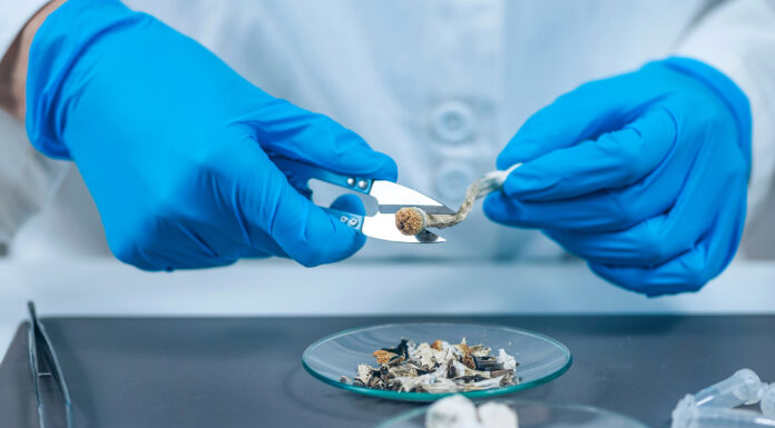 10 Tips for Using Magic Mushrooms Laboratory Experiment, Preparing Micro Doses Psilocybin, a Derivative from of Magic Mushrooms