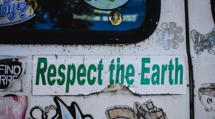 The Eco-Friendly Way to Drive Eco-Friendly. Photo pexels-eva-bronzini