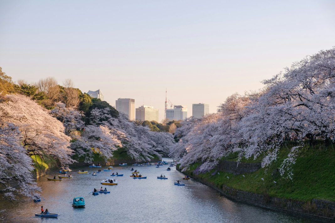 Beautiful country of Japan full of traditions and ancient history. Photo by Yu Kato-I71UerLsN-k-unsplash