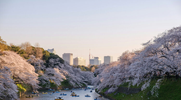 Discovering Japan: A Traveler’s Guide to the Land of the Rising Sun Beautiful country of Japan full of traditions and ancient history. Photo by Yu Kato-I71UerLsN-k-unsplash