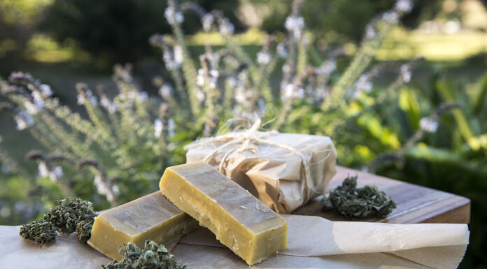 5 Things to Consider When Buying CBD Products Online CBD Products. Photo by Erin_Hinterland on Pixabay