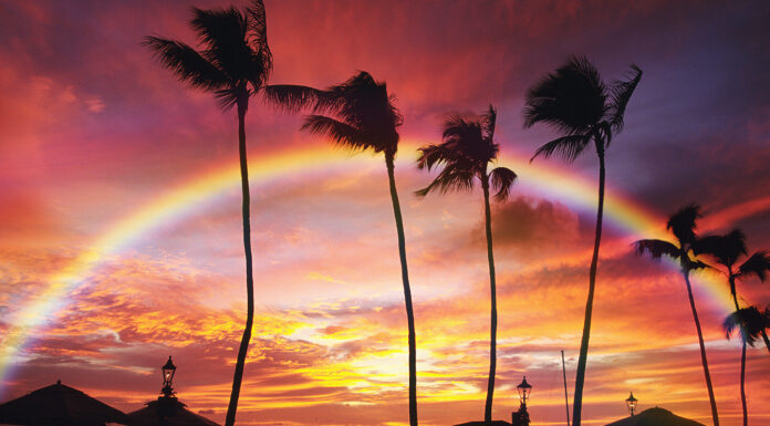 Three Places to Travel to Find the Perfect Rainbow Rainbow in beautiful Hawaii. Photo via Adobestock free images